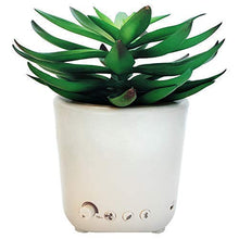 Load image into Gallery viewer, Sleep Plant - Sound Machine - Fan Sounds - White Noise - Nature Sounds