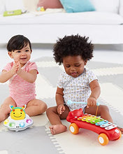 Load image into Gallery viewer, Skip Hop Developmental Learning Crawl Toy, Explore & More 3-Stage Follow-Me, Bee
