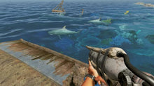 Load image into Gallery viewer, Stranded Deep