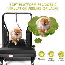 Load image into Gallery viewer, PETSITE Dog Treadmill, Pet Dog Running Machine for Small & Medium-Sized Dogs, Pet Fitness Treadmill with 1.4'' LCD Display Screen, 200 LBS Capacity