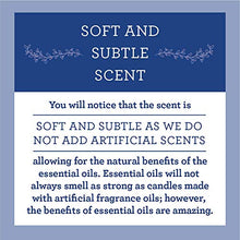 Load image into Gallery viewer, Our Own Candle Company Soy Wax Aromatherapy Candle, Simply Peppermint, 6.5 Ounce