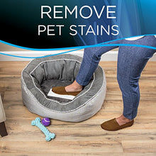 Load image into Gallery viewer, Bissell Stomp 'N Go Pet Lifting Pads + Oxy for Stain Removal on Carpet & Area Rug Cleaning, 20 Pack, 2194, 20 Count