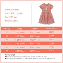 Load image into Gallery viewer, Youlebao Girls Cotton Long Sleeve Casual Cartoon Appliques Striped Jersey Dresses (5T, Gre)