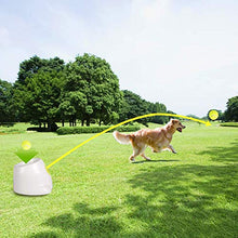 Load image into Gallery viewer, All for Paws Interactive Dog Automatic Ball Launcher Fetching Toy for Large Dogs,