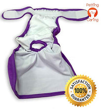 Load image into Gallery viewer, PETTING IS CARING Dog Washable Diapers & Reusable Female Dog Diapers Materials Durable Machine Washable Simple Solution for Pets Incontinence Long Travels Pants - 3 Pack Set Size (M)