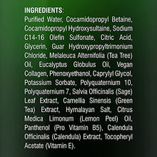 Load image into Gallery viewer, MAJESTIC PURE Tea Tree Body Wash with Collagen - Helps Nail Fungus, Athletes Foot, Ringworms, Jock Itch, Acne, Eczema & Body Odor - Soothes Itching - (Packaging May Vary), Set of 2, 16 fl oz