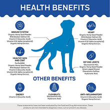 Load image into Gallery viewer, Innovet Pet Advanced Mobility Chews For Dogs – (90 Chews) Dog Treats, Hip & Joint Supplement With MSM, Green Lipped Mussel, Vitamin C & E, Glucosamine for Dogs, Organic Terpene Extract Boosts Immunity