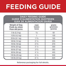 Load image into Gallery viewer, Hill's Science Diet Dry Dog Food, Adult, Chicken & Barley Recipe, 5 lb. Bag