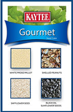 Load image into Gallery viewer, Kaytee Wild Bird Gourmet Seed Cake For Cardinals, Chickadees, Juncos, Titmice, Woodpeckers and More, 2 Pounds