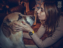 Load image into Gallery viewer, SHENGKE Minimalist Women Watch Ultra-Thin Leather Strap Fashion Quartz Ladies Watches Waterproof reloj de Mujer