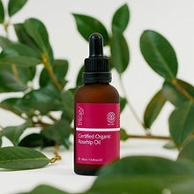 Load image into Gallery viewer, Trilogy TRR-ROS-U-TRO20 Certified Organic Rosehip Oil 20ml/0.67 Ounce
