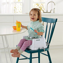 Load image into Gallery viewer, Fisher-Price Healthy Care Deluxe Booster Seat