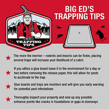 Load image into Gallery viewer, Catchmaster Baited Rat, Mouse and Snake Glue Traps Professional Strength - 6 Glue Trays