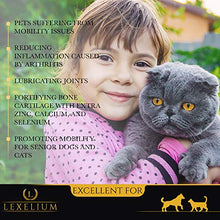 Load image into Gallery viewer, Lexelium Joint Support for Dogs and Cats | MSM + Glucosamine + Chondroitin + Turmeric | Helps with Arthritis and Fortifies Joints | 100% Natural Pet Supplement | 200 Grams