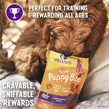 Load image into Gallery viewer, Wellness Soft Puppy Bites Natural Grain Free Puppy Training Treats, Lamb & Salmon, 3-Ounce Bag