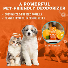 Load image into Gallery viewer, ANGRY ORANGE Pet Odor Eliminator for Home - 8oz Dog & Cat Urine Smell Remover - Citrus Concentrate - Makes a Gallon (128 oz)