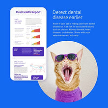 Load image into Gallery viewer, Basepaws Cat DNA Test | Breed + Health + Dental Report | Top Cat Breeds & 115 Health & Trait Markers | As Seen On Shark Tank