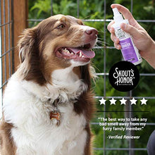 Load image into Gallery viewer, SKOUT'S HONOR: Probiotic Deodorizer - 8 fl. oz. - Hydrates and Deodorizes Fur, Supports Pet’s Natural Defenses, PH-Balanced and Sulfate Free - Avocado Oil