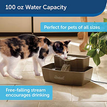 Load image into Gallery viewer, PetSafe Drinkwell Multi-Tier Cat and Dog Water Fountain - Automatic Drinking Fountain for Pets - 100 Oz. Water Capacity (PWW00-13708), Grey