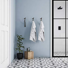 Load image into Gallery viewer, Lavish Home Decorative Skeleton Key Design Cast Iron Shabby Chic Wall Mount Hooks for Coats, Towels, Hats, Scarves, Jewelry, and More, (L) 2.5”x (W) 5”x (H) 11”, Rustic Brown