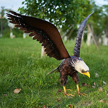 Load image into Gallery viewer, Bald Eagle Statue Outdoor Garden Sculpture Metal Yard Art Lawn Decoration
