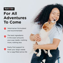 Load image into Gallery viewer, Nutri-Vet Shed Defense Soft Chews for Dogs | Supports Normal Shedding and Healthy Coat | 60 Soft Chews