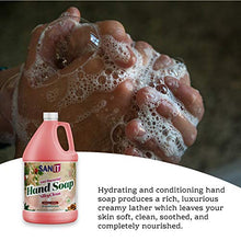 Load image into Gallery viewer, Sanit Silky Clean Antibacterial Liquid Hand Soap Refill - Advanced Formula with Coconut Oil and Aloe Vera - All Natural Moisturizing Hand Wash - Made in USA, Holiday Aroma, 1 Gallon