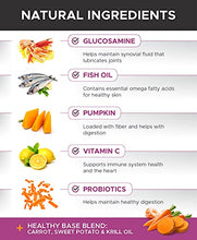 Load image into Gallery viewer, PetHonesty 10 in 1 Dog Multivitamin - Essential Dog Vitamins with Glucosamine Chondroitin, Probiotics and Omega Fish Oil for Dogs Overall Health - Vitamins for Joint Supplement Heart - (Peanut Butter)