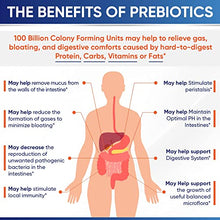 Load image into Gallery viewer, Organic Probiotics 100 Billion CFU, Dr Formulated Probiotics for Women, Probiotics for Men and Adults, Complete Shelf Stable Probiotic Supplement with Prebiotics & Digestive Enzymes; 30 Capsules