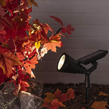 Load image into Gallery viewer, Sterno Home GL40460 Outdoor Solar LED Black Light Kit, Ground or Wall Mountable, Landscape Waterproof Security Lighting with Adjustable Spotlight for Patio, Porch, Deck, Garden, Pool - 2 Pack