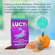 Load image into Gallery viewer, Lucy Pet Formulas for Life - Limited Ingredient Diet Dry Dog Food, All Breeds & Life Stages - Chicken, Brown Rice & Pumpkin
