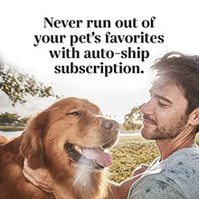 Load image into Gallery viewer, EverRoot Immunity Dog Supplement by Purina, Immunity Chewable Tablet with Spirulina & Antioxidants for Dogs - 3.6 oz. Canister