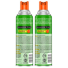 Load image into Gallery viewer, OFF! Outdoor Insect & Mosquito Repellent Fogger, Kills & Repels Insects in an up to 900 sq, ft, area, 16 oz. (Pack of 2)