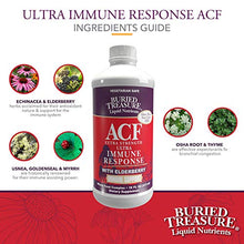 Load image into Gallery viewer, Buried Treasure ACF Extra Strength Advanced Immune Recovery with Vitamin C 1000mg, Elderberry Echinacea Zinc and Herbal Blend, Boost Immunity Support Supplement, 16oz. with Convenient Dose Cup