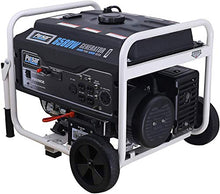 Load image into Gallery viewer, Pulsar PG6580E Portable Generator, Black&White