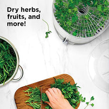 Load image into Gallery viewer, Chefman 5-Tray Food Dehydrator, 11.4-Inch Transparent Trays, Adjustable Temperature Control, Easily Create Dried Snacks For The Family, Prepare Fruits, Jerky, Vegetables, Meats, & Herbs