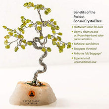 Load image into Gallery viewer, Divine Magic Handmade Natural Crystal Tree Green Peridot Enhance Confidence | Crystal Art Decoration Good Luck Tree Activates Heart and Solar Plexus Chakras - Spiritual Gifts for Women Men