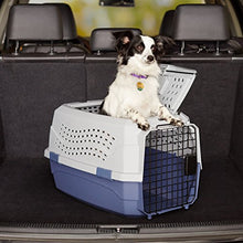 Load image into Gallery viewer, AmazonBasics Two-Door Top-Load Hard-Sided Pet Travel Carrier, 23-Inch