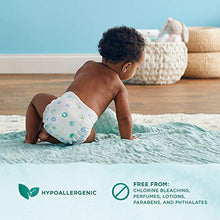 Load image into Gallery viewer, Amazon Brand - Mama Bear Gentle Touch Diapers, Hypoallergenic, Size 5, 132 Count (4 packs of 33)