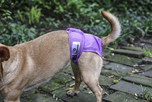 Load image into Gallery viewer, Pet Parents Washable Dog Diapers (3pack) of Doggie Diapers, Color: Princess, XSmall Dog Diapers