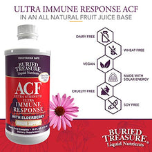 Load image into Gallery viewer, Buried Treasure ACF Extra Strength Advanced Immune Recovery with Vitamin C 1000mg, Elderberry Echinacea Zinc and Herbal Blend, Boost Immunity Support Supplement, 16oz. with Convenient Dose Cup