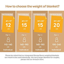Load image into Gallery viewer, BUZIO Shaggy Faux Fur Weighted Blanket 20lbs, Super Soft Plush Fleece and Cozy Sherpa Reverse, Long Fur Fluffy Bed Throw Blankets 60"x80" Grey