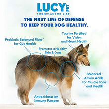 Load image into Gallery viewer, Lucy Pet Formulas for Life - Sensitive Stomach & Skin Dry Dog Food, All Breeds & Life Stages - Salmon, Pumpkin, & Quinoa