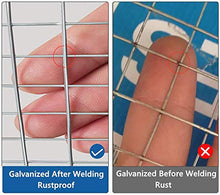 Load image into Gallery viewer, Amagabeli 48x50 Hardware Cloth 1/4 inch Square Galvanized Chicken Wire Welded Fence Mesh Roll Raised Garden Bed Plant Supports Poultry Netting Cage Wire Snake Fence