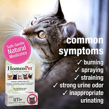 Load image into Gallery viewer, HomeoPet UTI Plus Urinary Tract Infection, Urinary Tract Support for Cats, 15 Milliliters