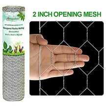 Load image into Gallery viewer, Amagabeli 2 inch Hexagonal Poultry Netting Galvanized Chicken Wire Mesh Fence 20gauge Large Frame with Chicken Netting Rabbits Pets Dog Cat Vegetable Garden fencing Backyard Raised Flower 36inchx50ft