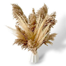 Load image into Gallery viewer, Dried Pampas Grass Decor - 40 Pcs Natural Pompas Floral/ Dried Pompous Grass Boho Plant for Flower Arrangements Wedding Home Decor(30 Pcs Brown Pampas Grass & 10 Pcs Beige Pampas Grass)