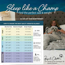 Load image into Gallery viewer, Quility Premium Adult Weighted Blanket & Removable Cover - 20 lbs - 60"x80" - for Individual Between 190-240 lbs - Full Size Bed - Premium Glass Beads - Cotton/Minky - Grey/Navy Blue Color