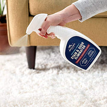 Load image into Gallery viewer, Rocco & Roxie Stain & Odor Eliminator for Strong Odor - Enzyme-Powered Pet Odor Eliminator for Home - Carpet Stain Remover for Cat and Dog Pee - Enzymatic Cat Urine Destroyer - Carpet Cleaner Spray