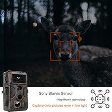 Load image into Gallery viewer, 2-Pack No Glow Game & Deer Trail Cameras 24MP 1296P H.264 Video 100ft Night Vision Motion Activated 0.1S Trigger Speed Waterproof Farm & Yard Cameras for Home Surveillance & Outdoor Wildlife Hunting